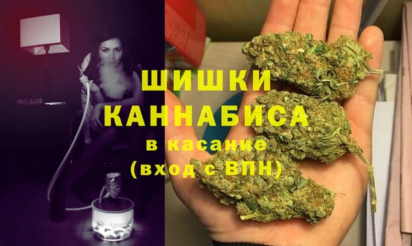 молекула духа Бежецк