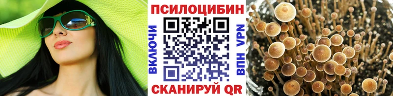 Псилоцибиновые грибы прущие грибы  хочу   Болгар 