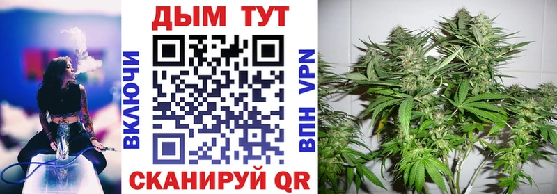 Каннабис Bruce Banner  Болгар 